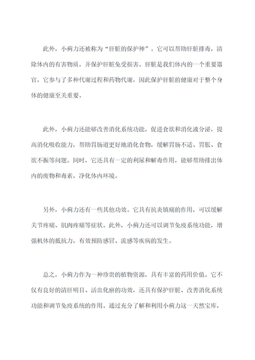 小蓟力的功效与作用