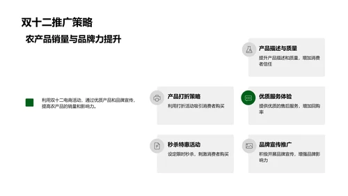 农产品电商双十二攻略PPT模板