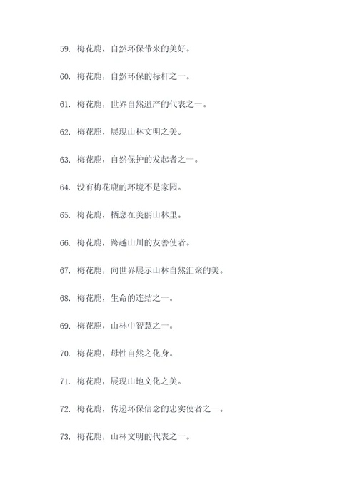 梅花鹿宣传口号