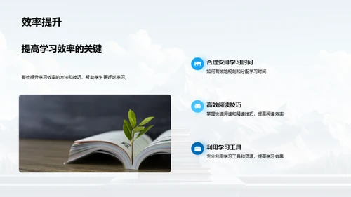 学习历程与策略