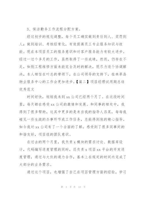 项目经理试用期总结优秀范文.docx