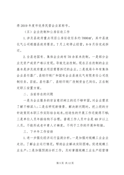 经信局上年工作总结和下年工作安排计划.docx