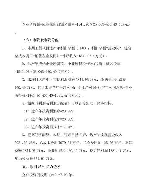 四川锂离子动力电池生产制造项目财务分析报告