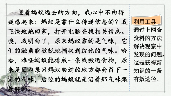 部编版三年级上册语文 习作：我们眼中的缤纷世界 课件