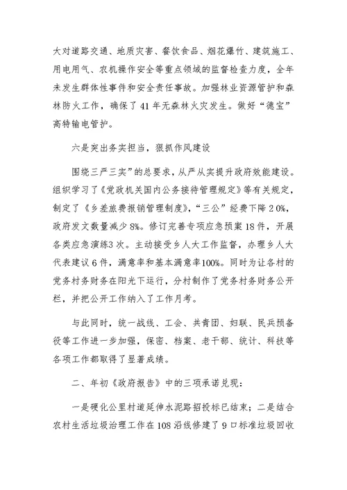 乡镇政府年度重点政务工作总结
