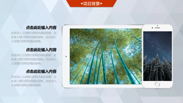 商业轻奢大气银灰色创业项目计划书通用PPT