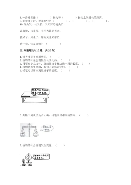 教科版一年级上册科学期末测试卷及参考答案（预热题）.docx