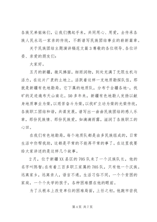 关于民族团结主题演讲稿范文 (2).docx