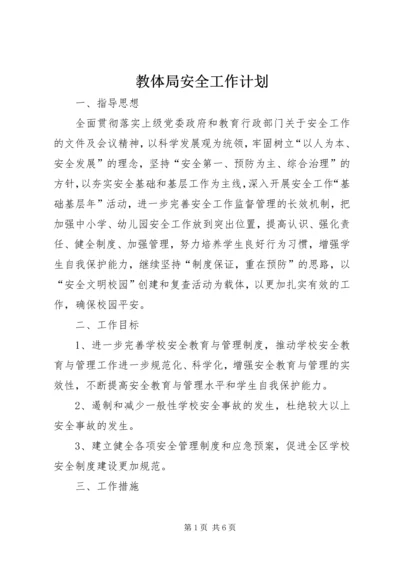 教体局安全工作计划.docx