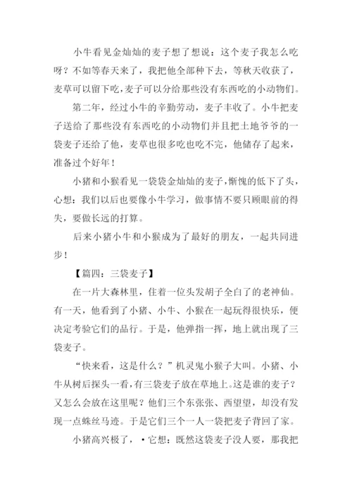 三袋麦子的作文.docx