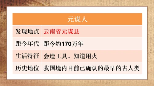 初中历史《人类起源》教学通用PPT课件