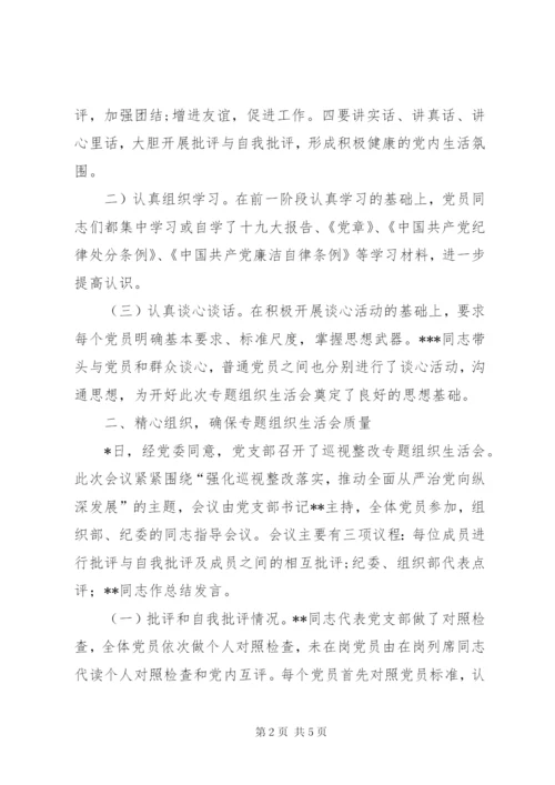 XX年党支部组织生活会总结报告.docx