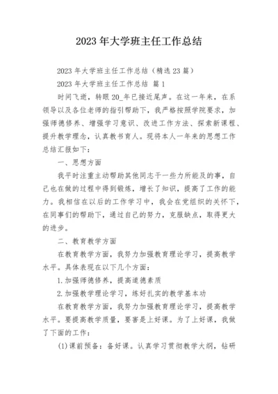 2023年大学班主任工作总结.docx