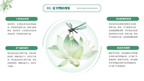 绿色简约二十四节气之夏至PPT模板