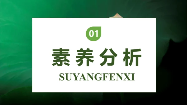 【核心素养】部编版语文一年级下册-11. 古诗二首 第2课时（课件）