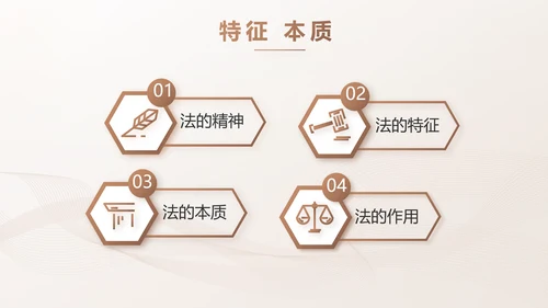 简约大气法律知识工作汇报动态PPT