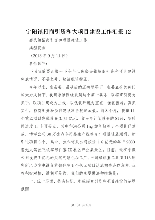 宁阳镇招商引资和大项目建设工作汇报12 (4).docx