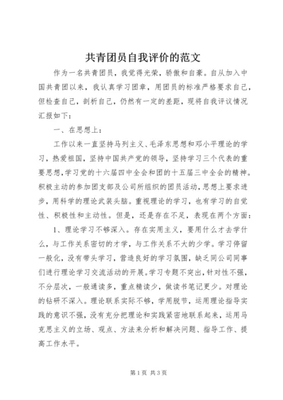 共青团员自我评价的范文.docx