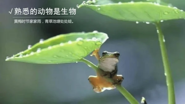 七年级生物学开学第一课-2023-2024学年七年级生物上册同步精品课堂（苏科版）(共32张PPT)