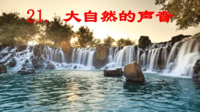 第21课 《大自然的声音》  课件