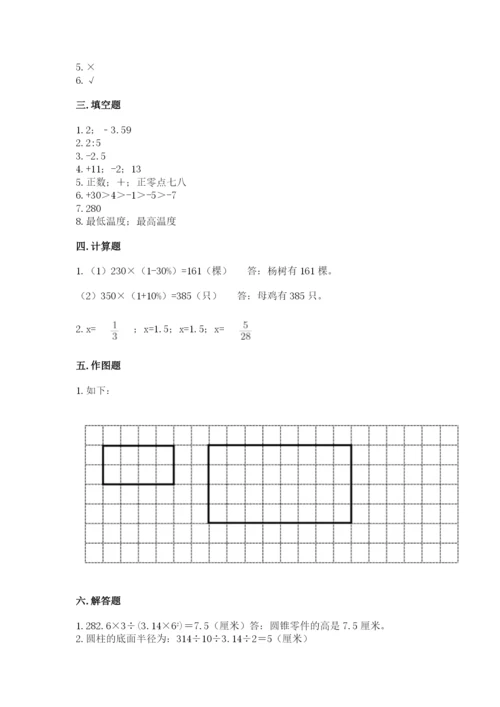 成都市都江堰市六年级下册数学期末测试卷标准卷.docx