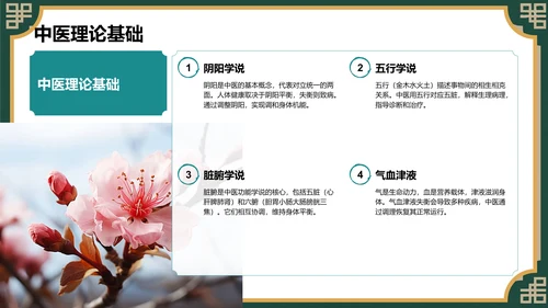 中医药基础知识介绍PPT模板