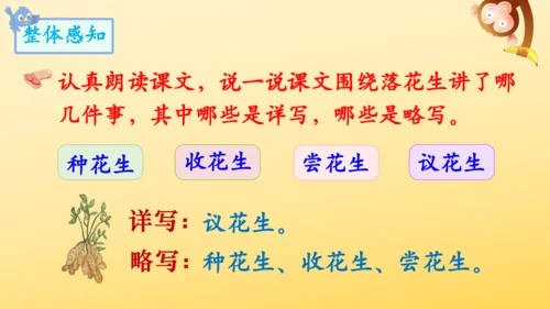 2 落花生    课件