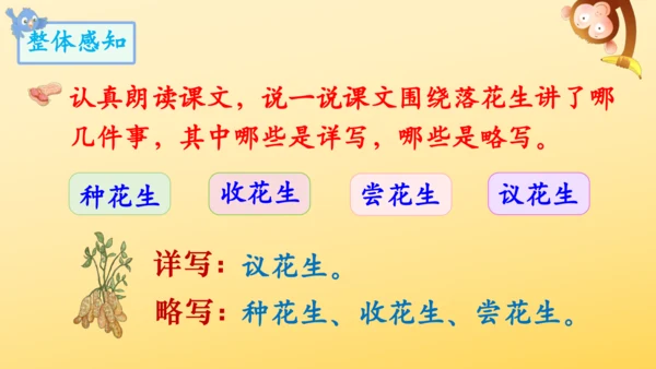 2 落花生    课件
