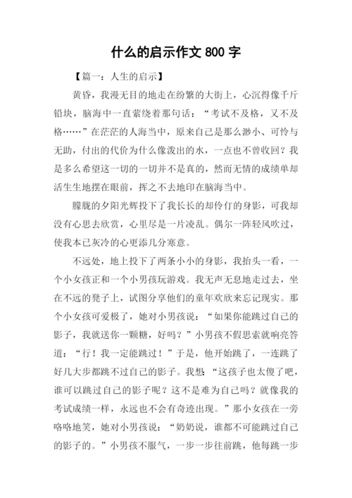 什么的启示作文800字.docx