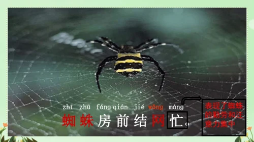 识字（二）5动物儿歌（课件）
