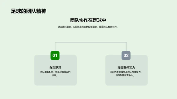 足球运动深度解析