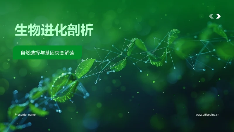 生物进化剖析