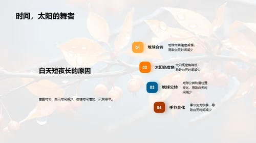 探索寒露节气