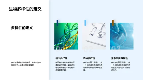 生物多样性的保护与可持续发展