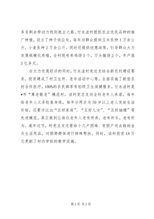 村党总支的典型事迹材料.docx