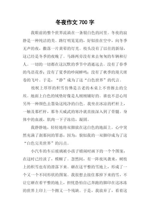 冬夜作文700字0.docx