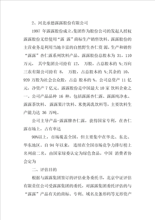 XX关于企业无形资产资产评估报告模板