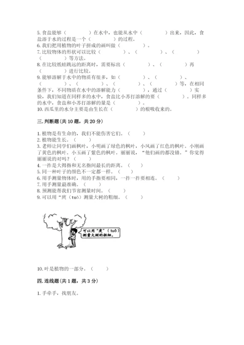 教科版一年级上册科学期末测试卷含答案【夺分金卷】.docx