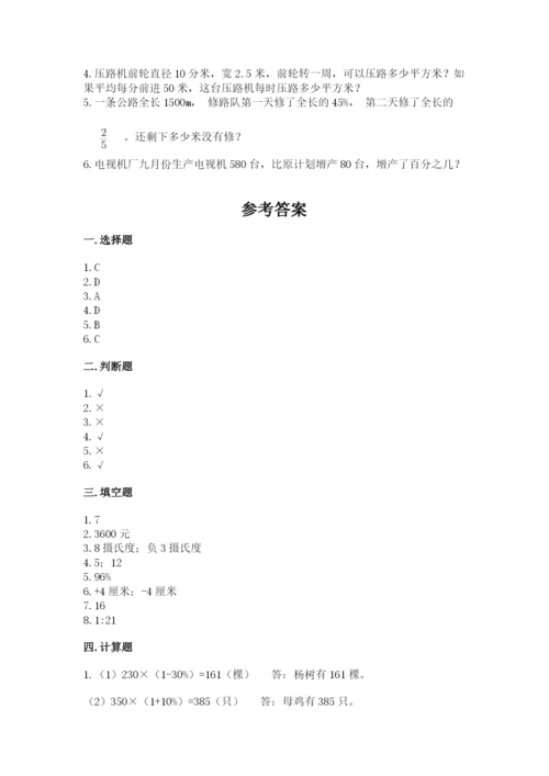 新宾满族自治县六年级下册数学期末测试卷审定版.docx