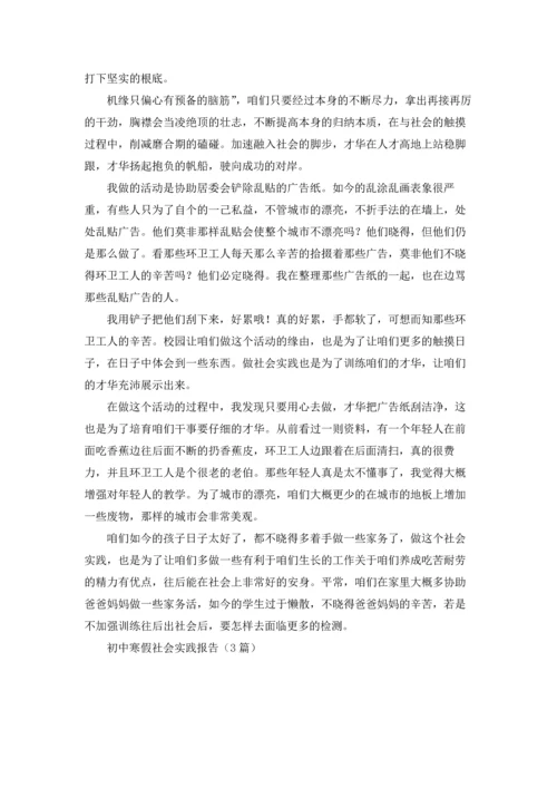 初中寒假社会实践报告（3篇）.docx