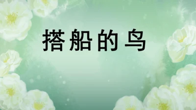 第15课《搭船的鸟》课件
