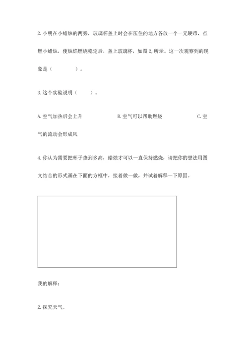 教科版三年级上册科学期末测试卷（考点梳理）.docx