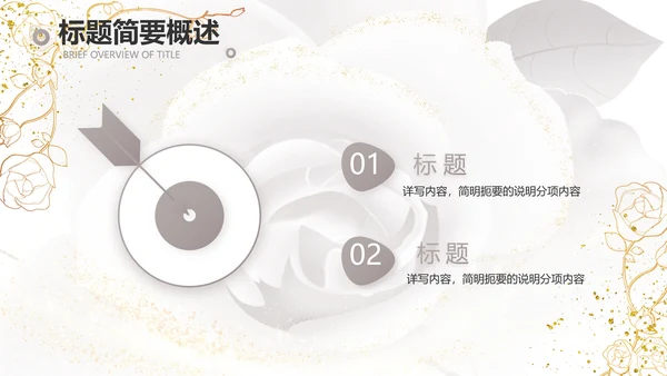 公司企业品牌化妆品介绍宣传PPT
