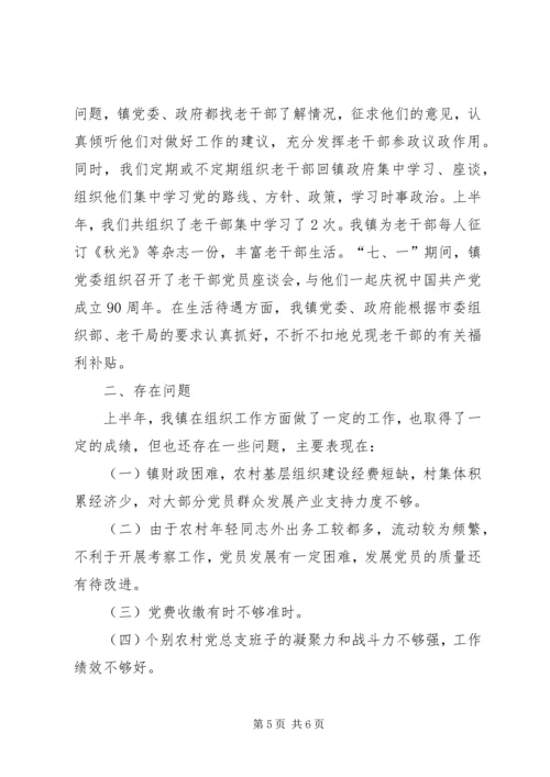 乡镇镇组织工作总结.docx