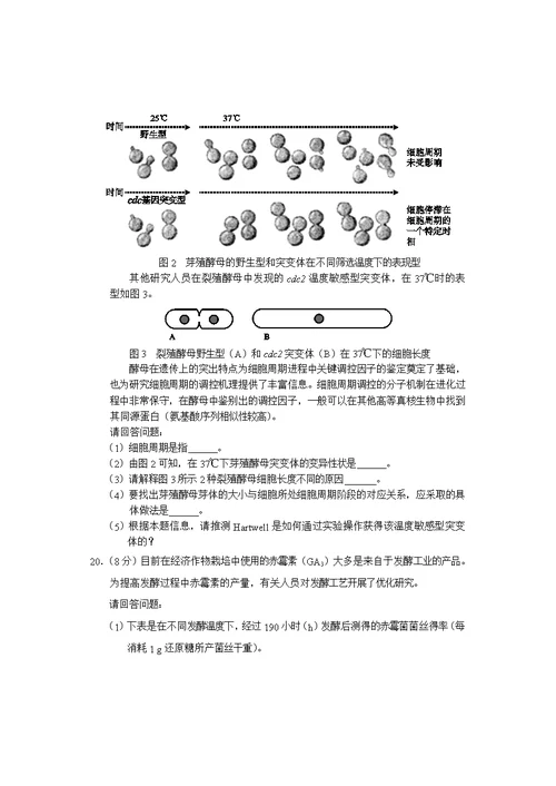 2020年普通高中学业水平考试等级性考试生物测试(共11页)