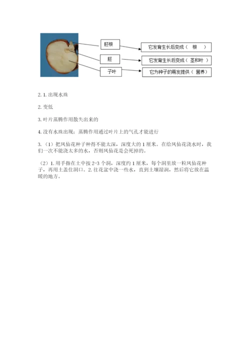 科学四年级下册第一单元植物的生长变化测试卷附完整答案【考点梳理】.docx