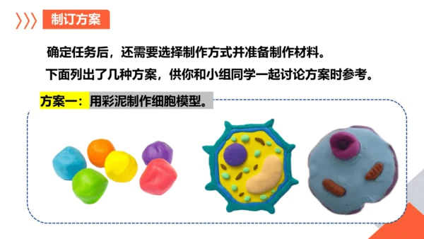 综合实践项目单元小结-【备课优选】七年级生物上学期同步精品课件（2024人教版）(共19张PPT)
