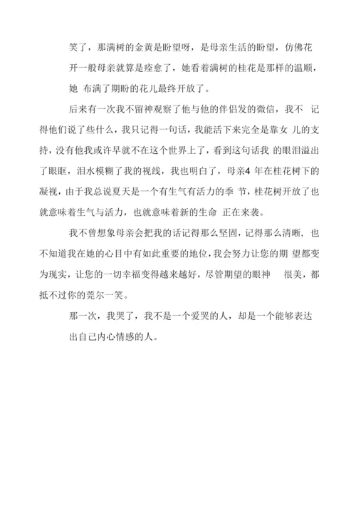 期待作文汇编八篇英语.docx