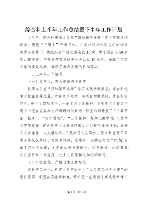 综合科上半年工作总结暨下半年工作计划 (2).docx