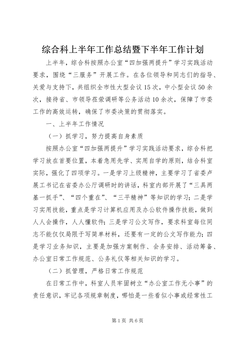 综合科上半年工作总结暨下半年工作计划 (2).docx